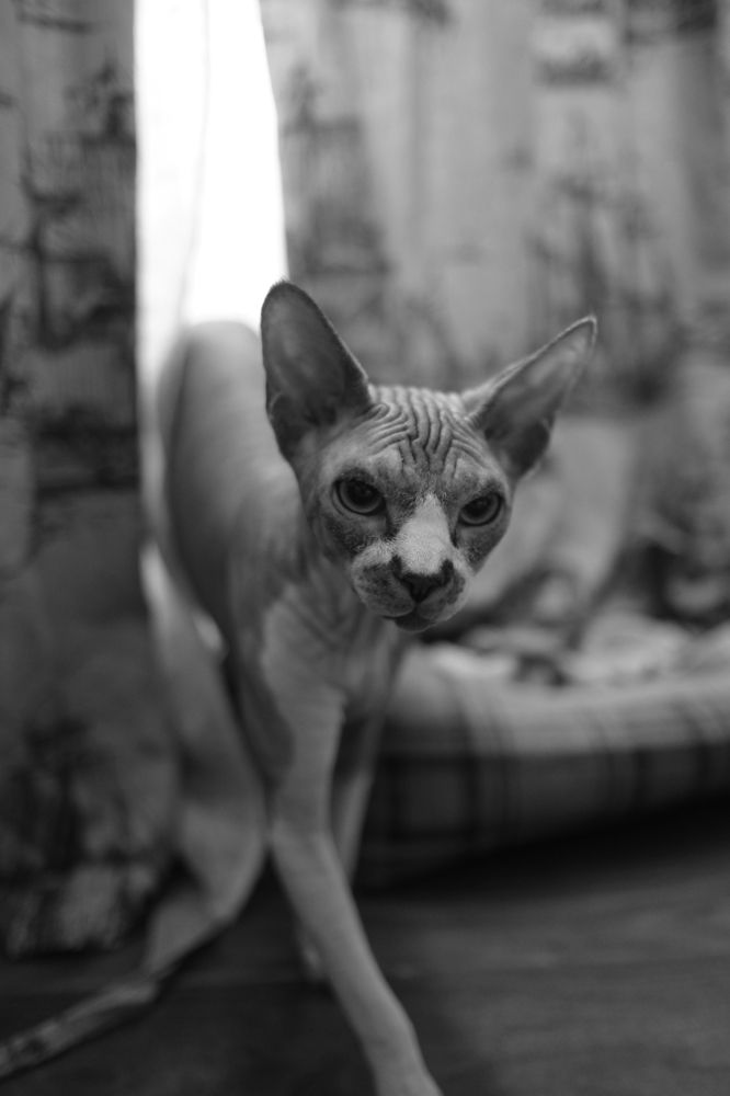 Photograph by Елизавета Киселева