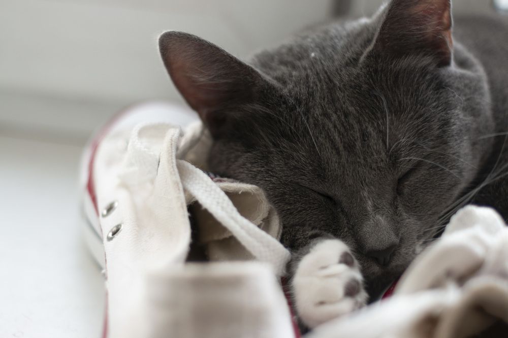 Photograph by Парахневич Виктория