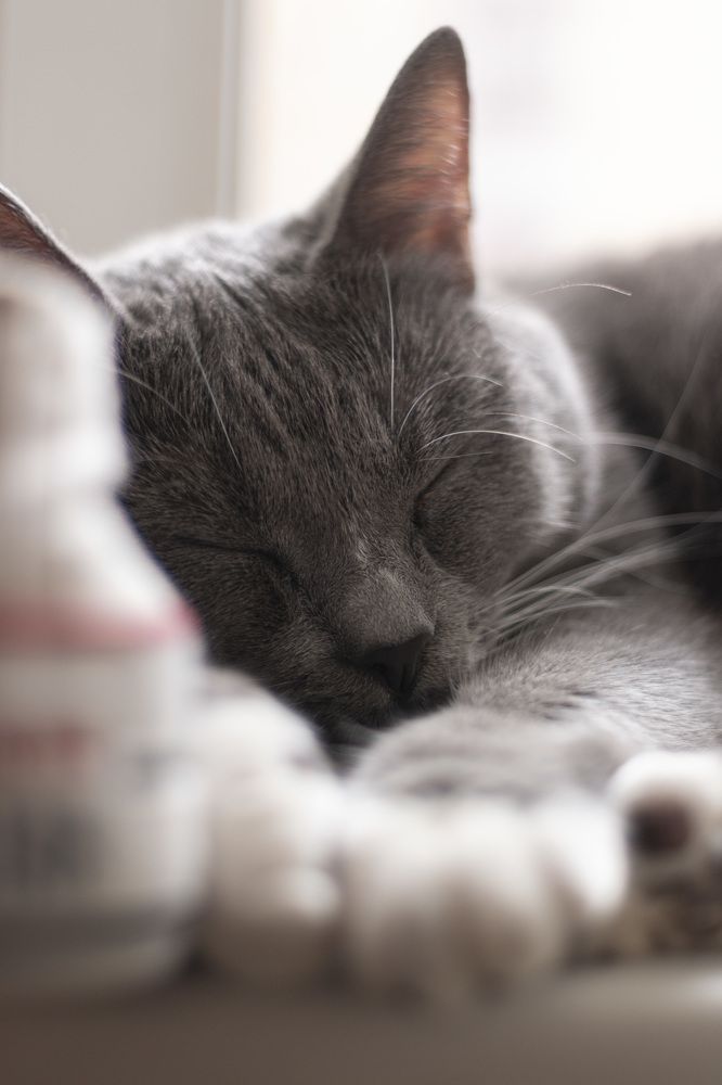 Photograph by Парахневич Виктория