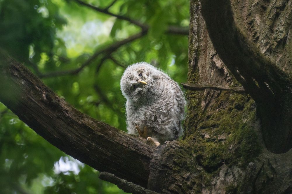 Привет! Дай пять!
