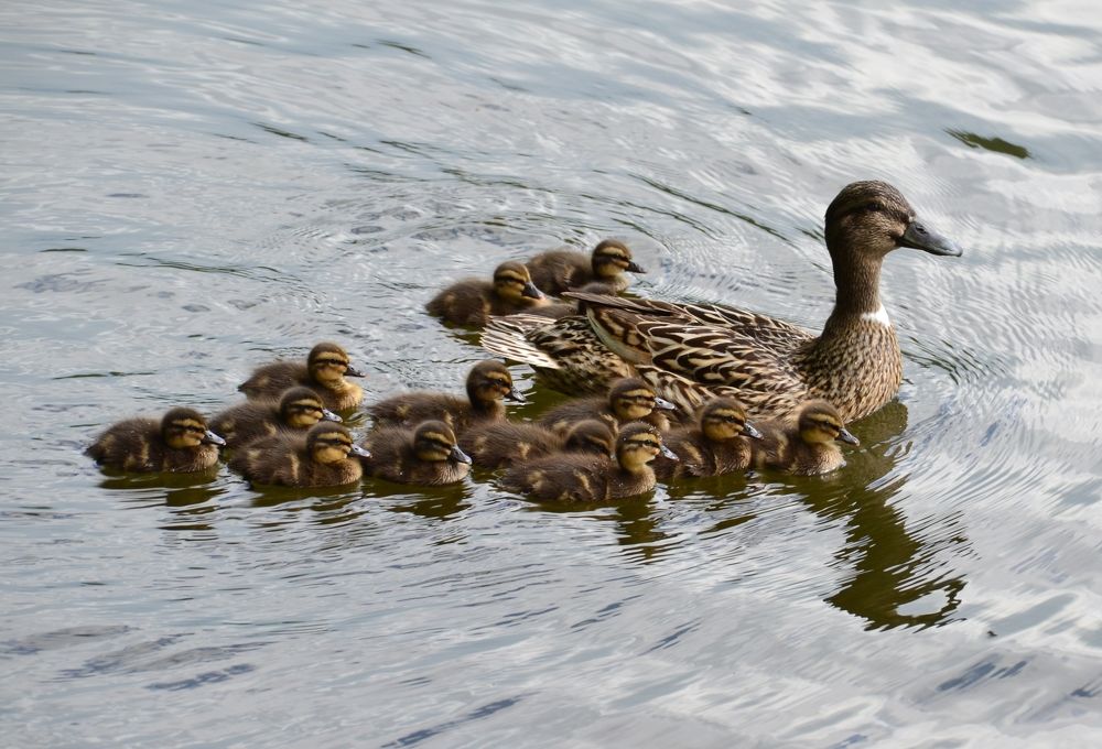 Photograph by Владислав Завальнюк