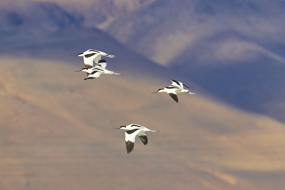 Photograph by Анастасия Тупицына