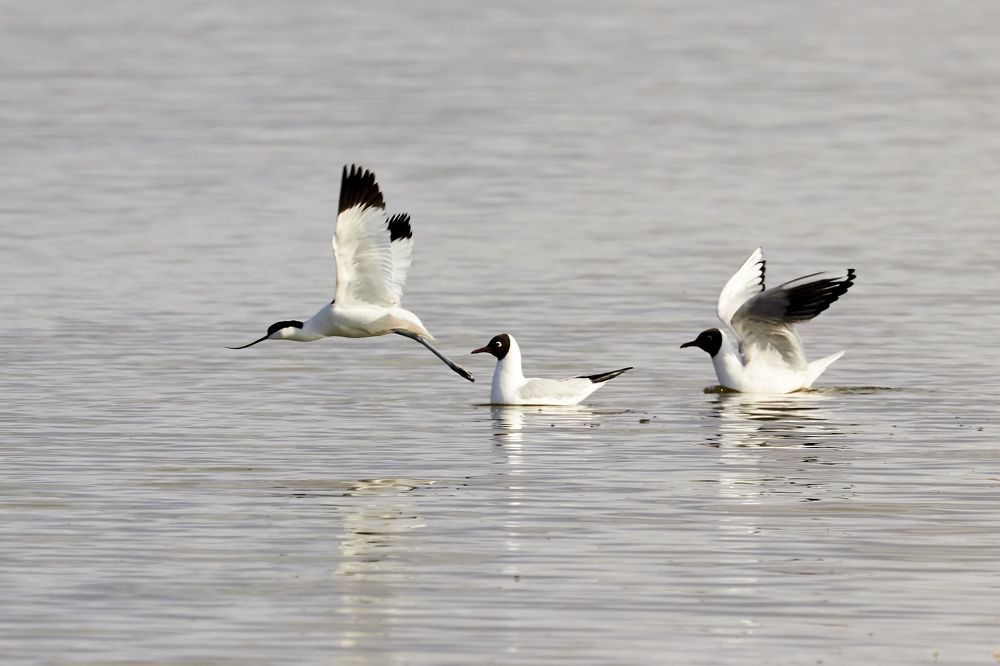 Photograph by Анастасия Тупицына