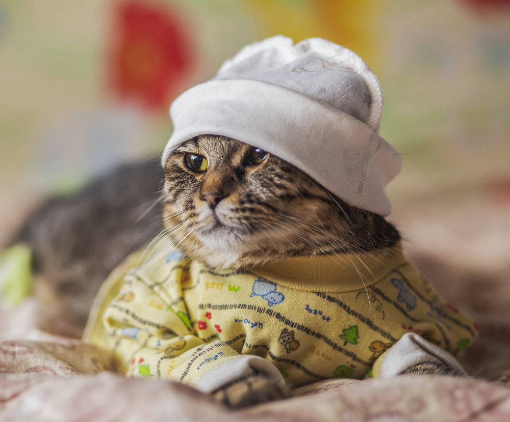 Photograph by Надежда Щёболева