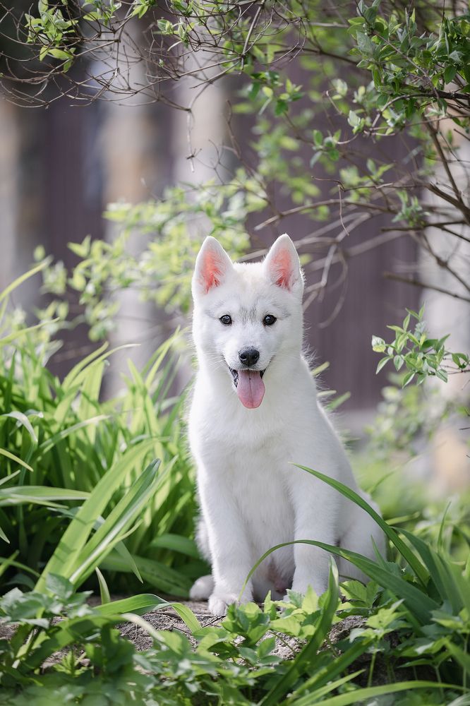 Photograph by Dasha Zueva