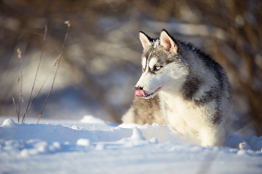 Photograph by Dasha Zueva