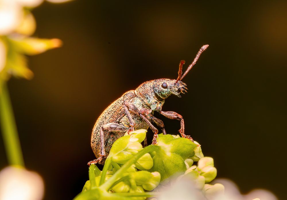 Photograph by Парфентьев Антон