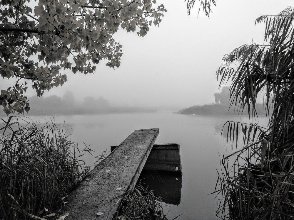 Photograph by Денис Лащ