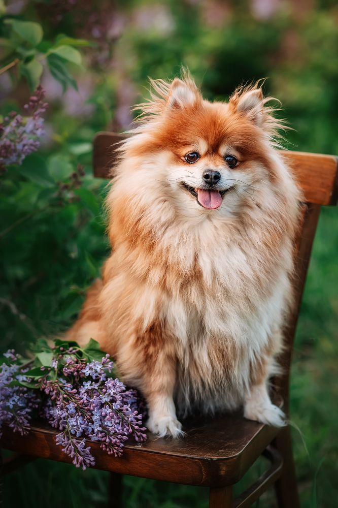 Photograph by Ольга Додонова