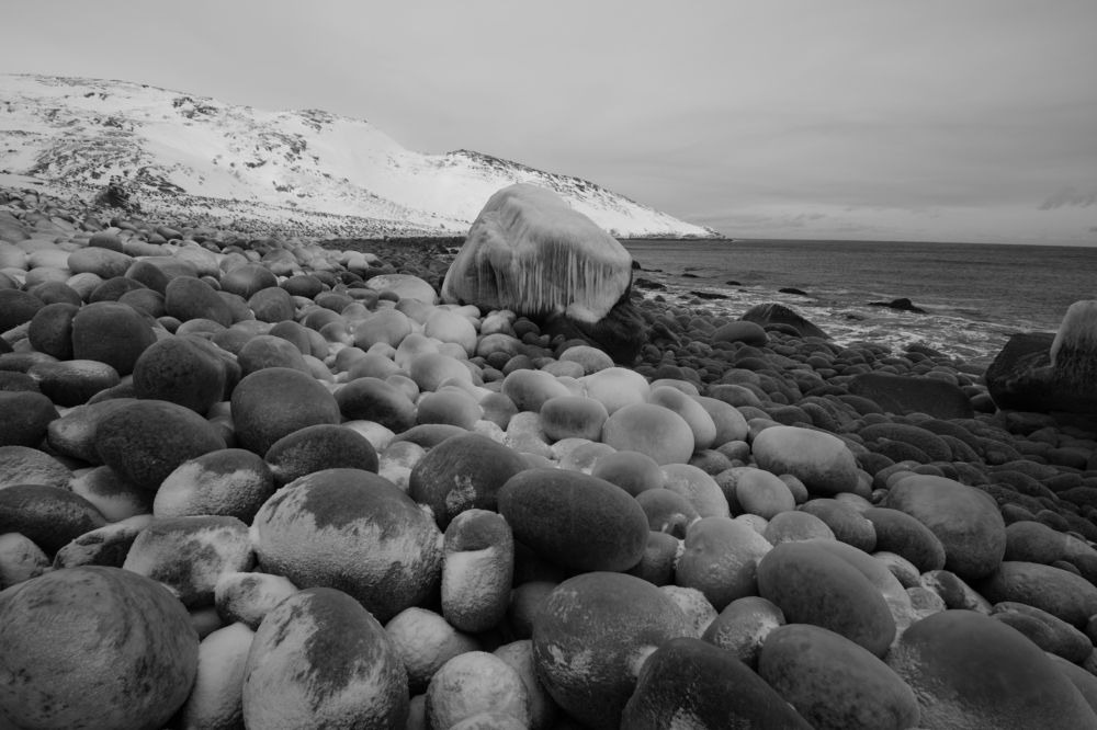 Photograph by Александр Чегодаев