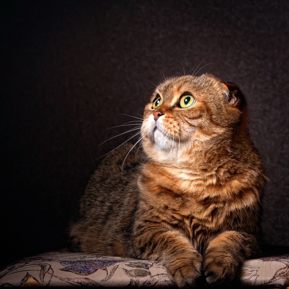 Photograph by Евгений Кузнецов