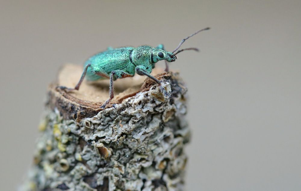 Photograph by Игорь Осипов