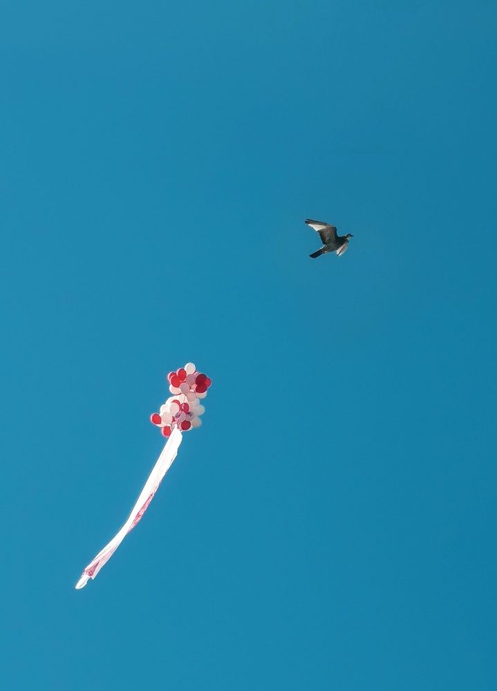 Фотография автора Геннадий Ломеко