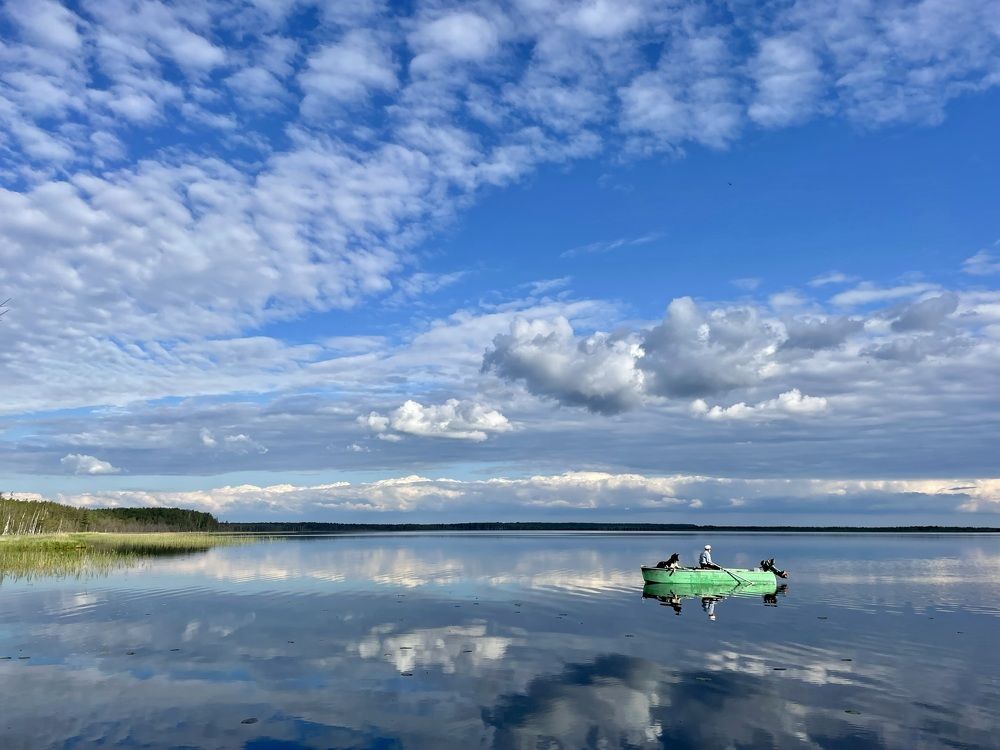 Photograph by Светлана Максимова