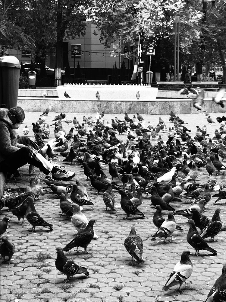 Photograph by Anca Hultoana