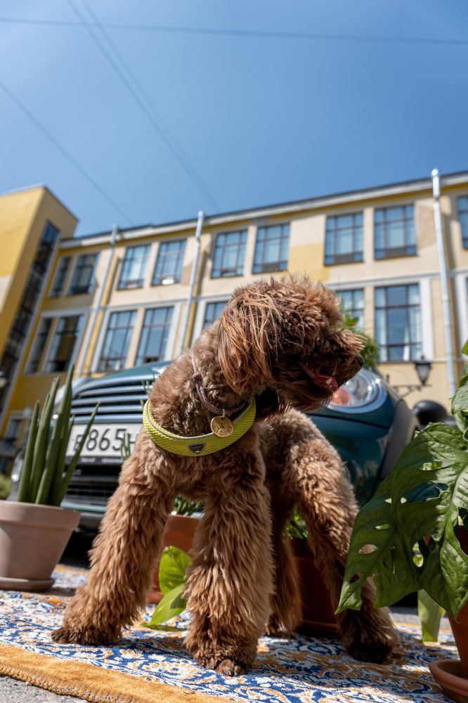 Photograph by Sergey Anfalov