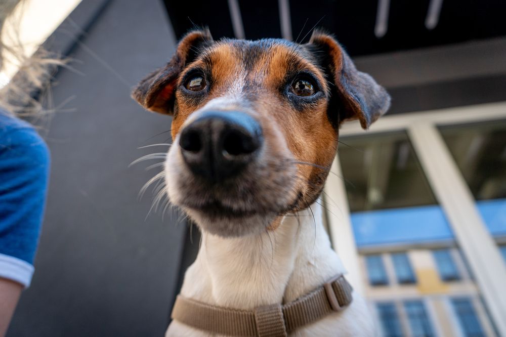 Photograph by Sergey Anfalov