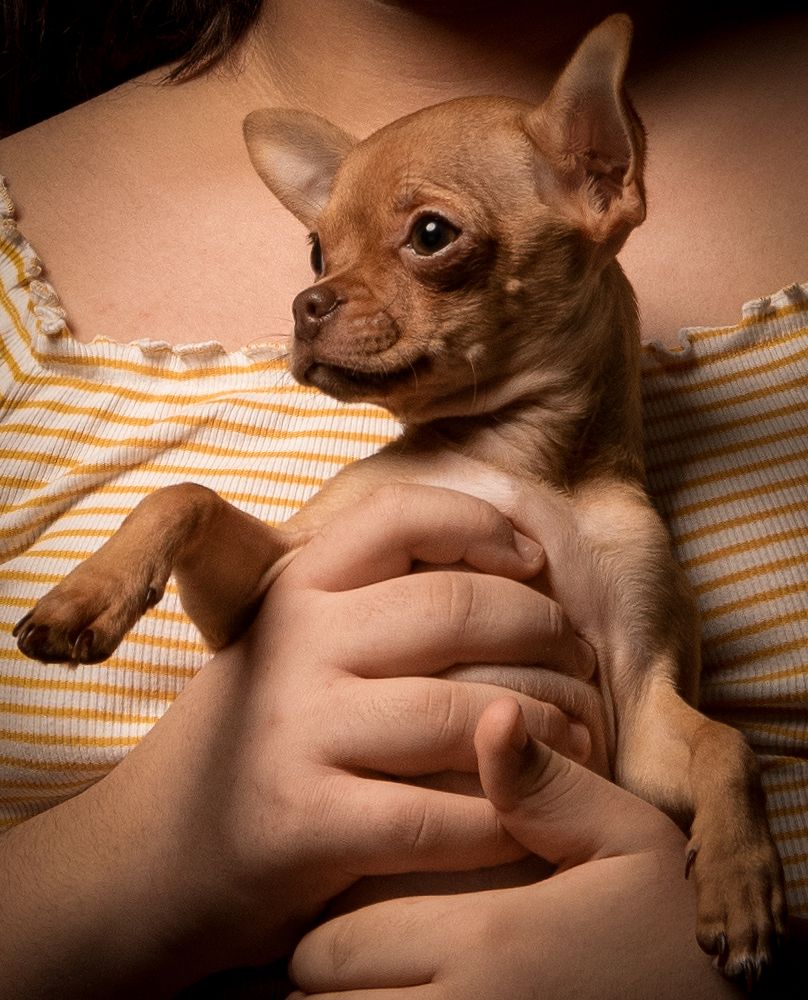 Photograph by Зураб Бабаев