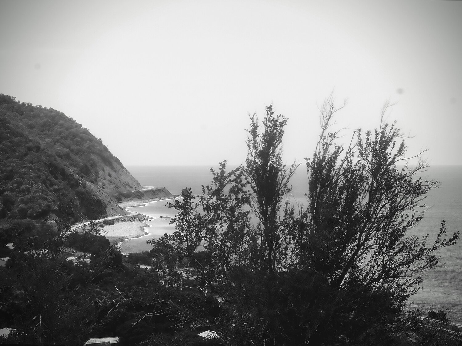Photo #7666260