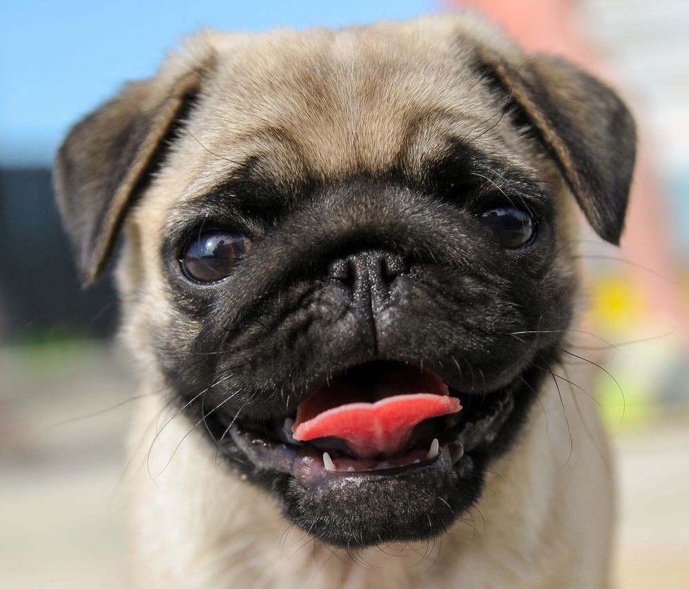 Photograph by Сергей Иванов