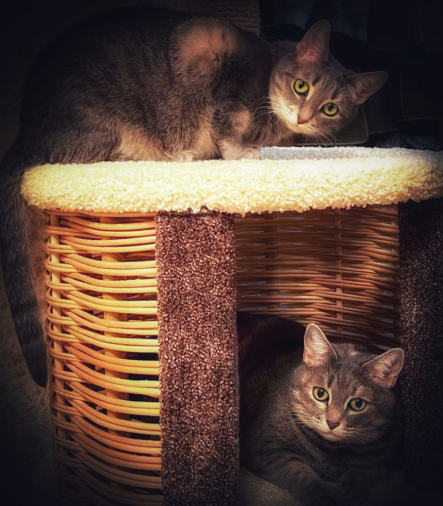 Мама и дочь