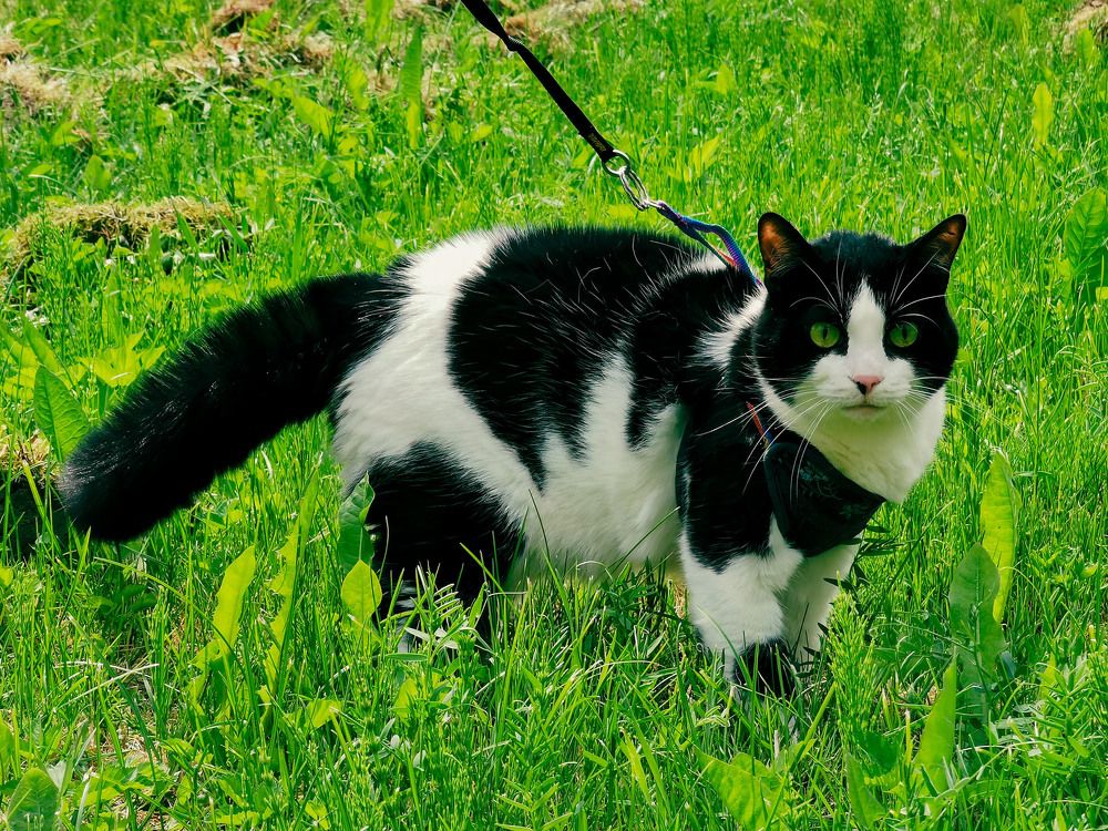 Photograph by Александр Максимов