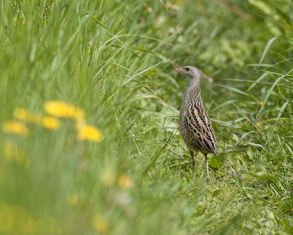 Photograph by Алексей Долженко
