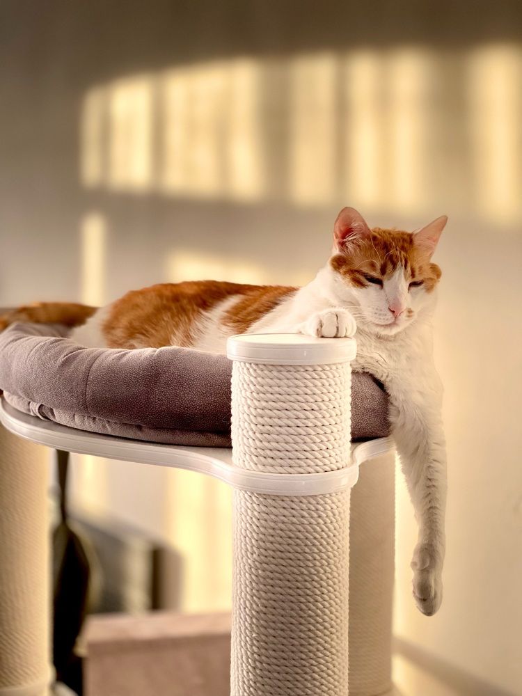 Photograph by Александр Максимов