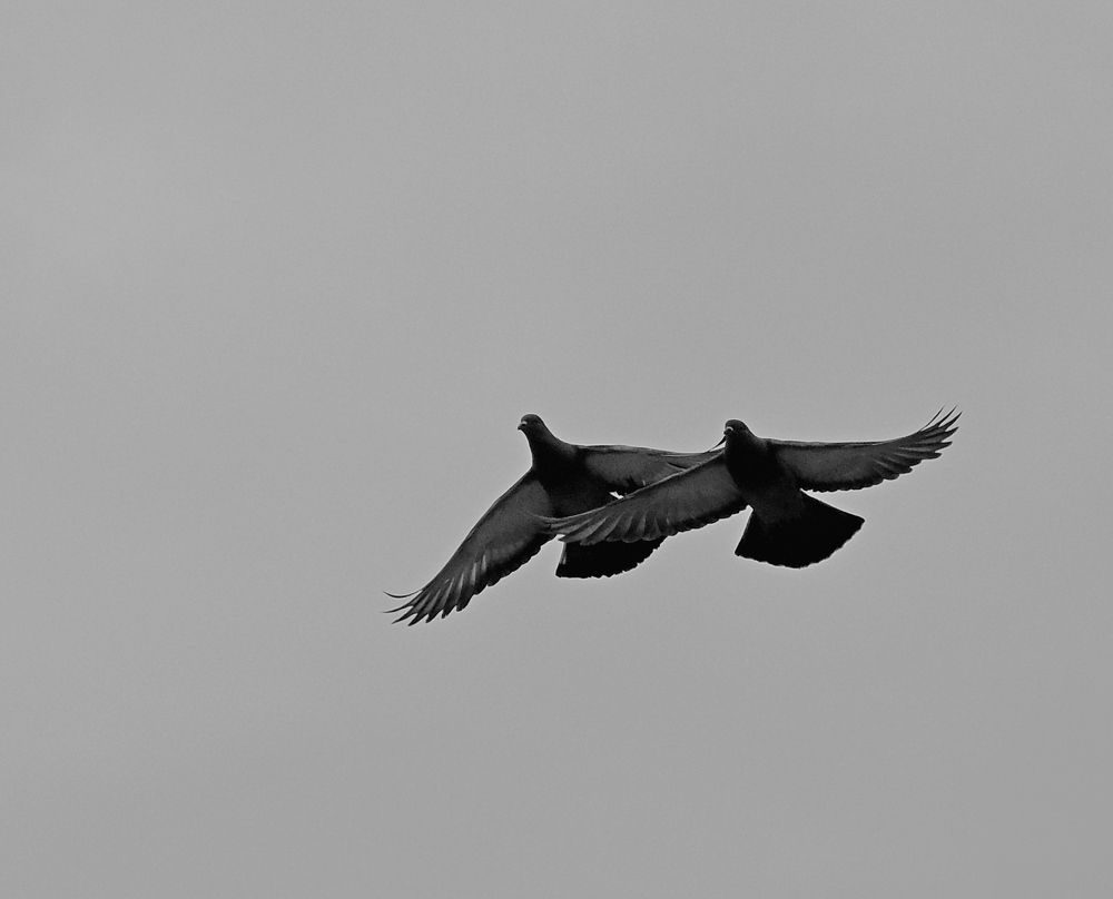 Photograph by Norayr Khazhakyan