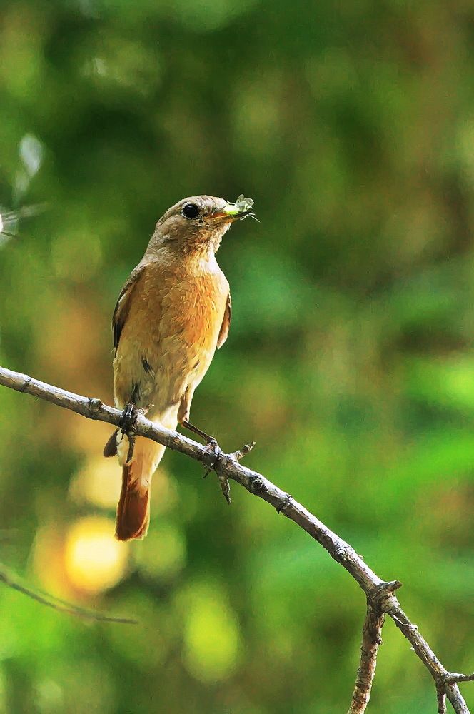 Photograph by Сергей Балухта