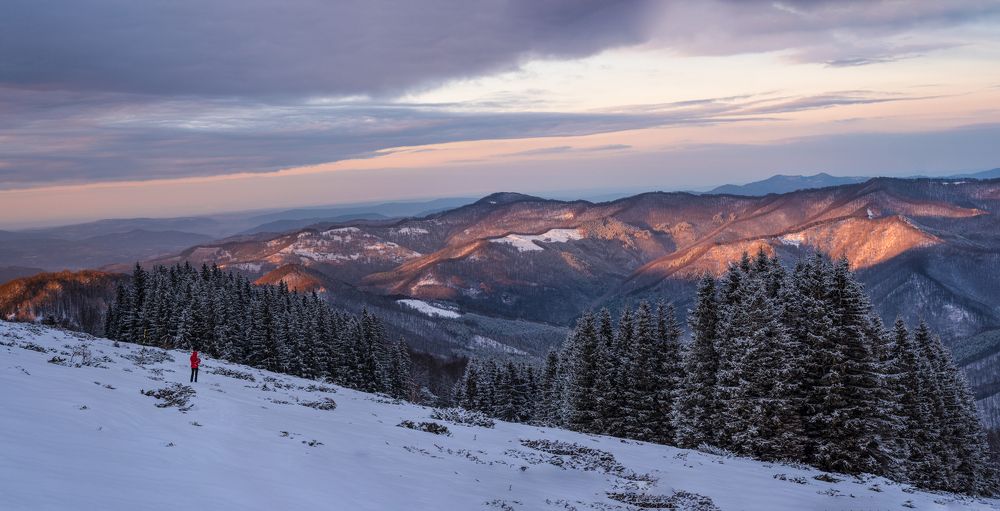 Photograph by Svetlana Milcheva