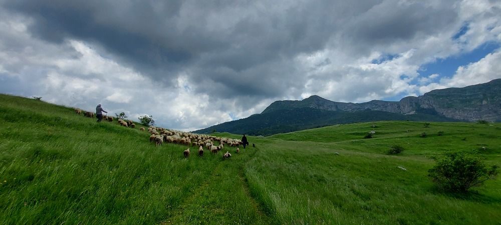 Photograph by Lejla Klepo