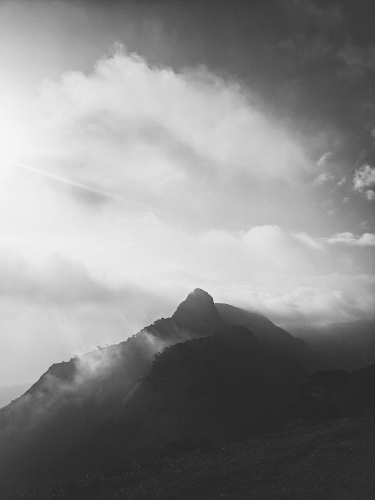 Photograph by Sam Johnraj