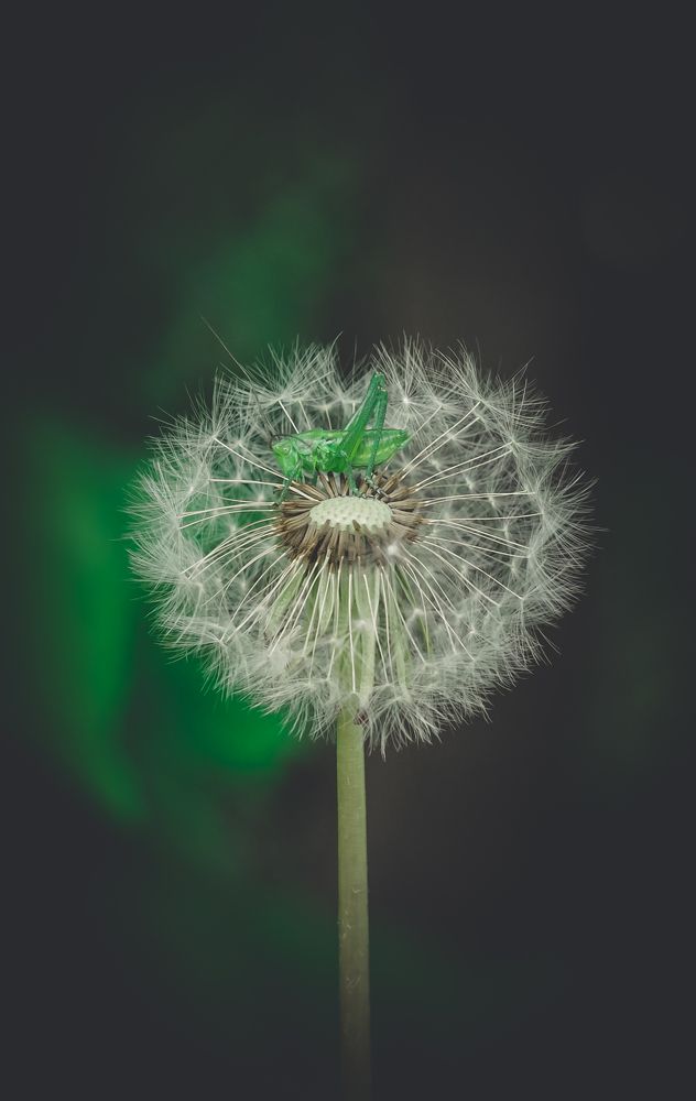 Photograph by Андрей Косяк