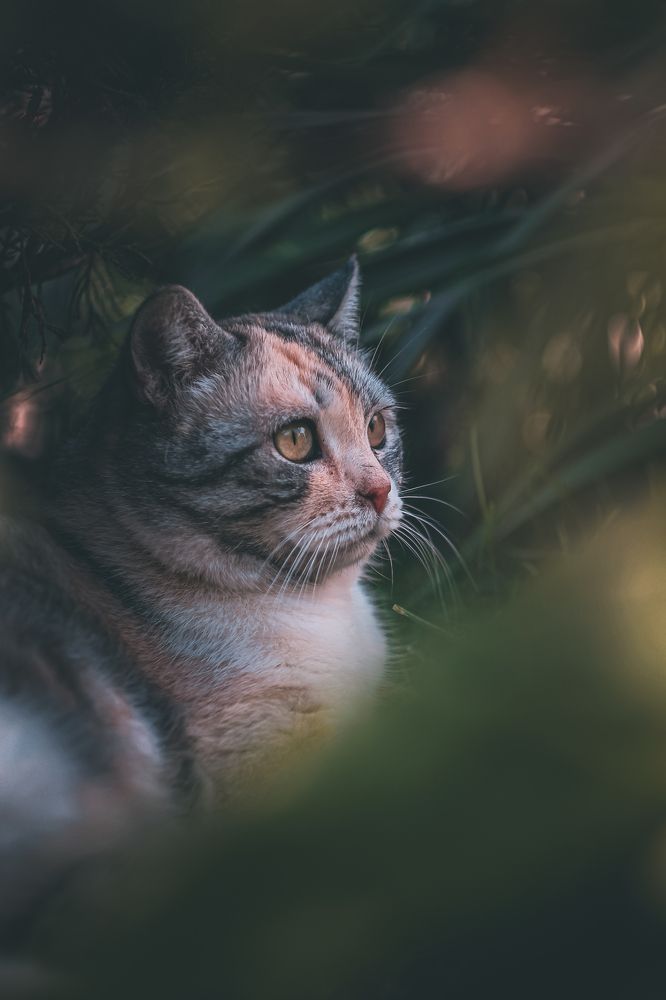 Photograph by Андрей Косяк