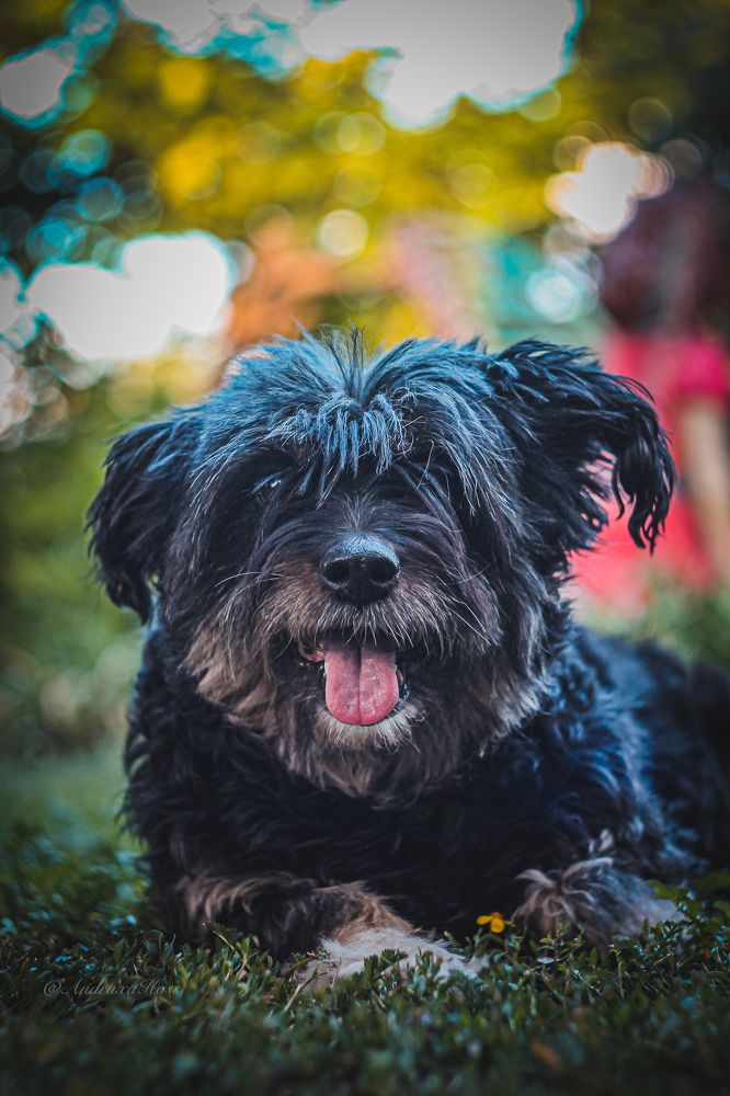 Photograph by Андрей Косяк