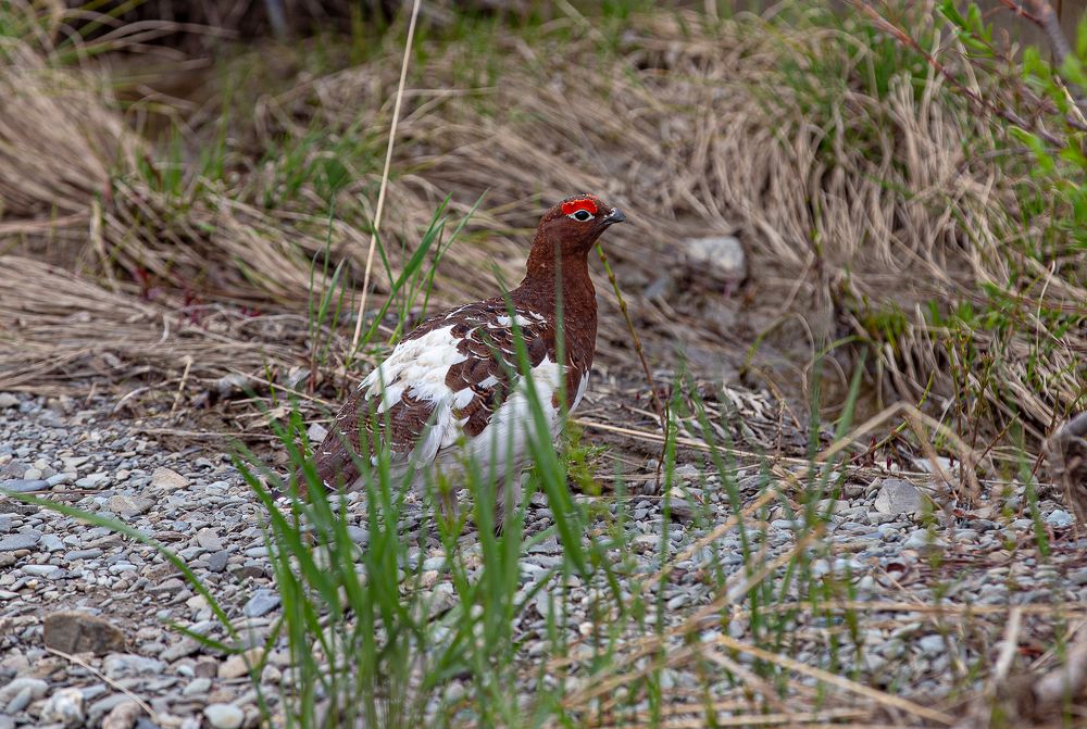 Photograph by Анатолий Буянов