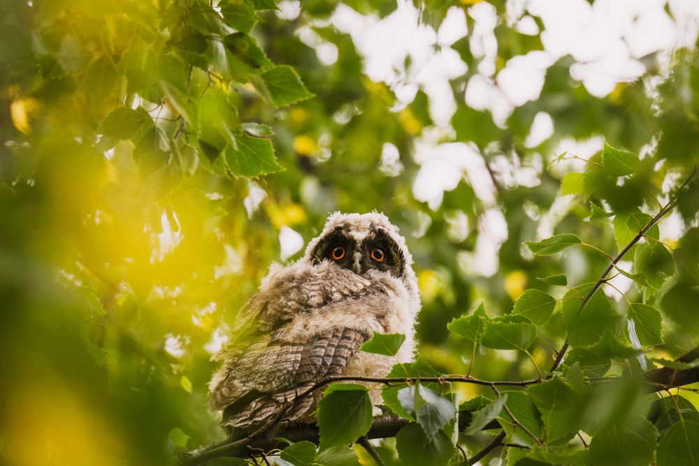 Photograph by Екатерина Аксёнова