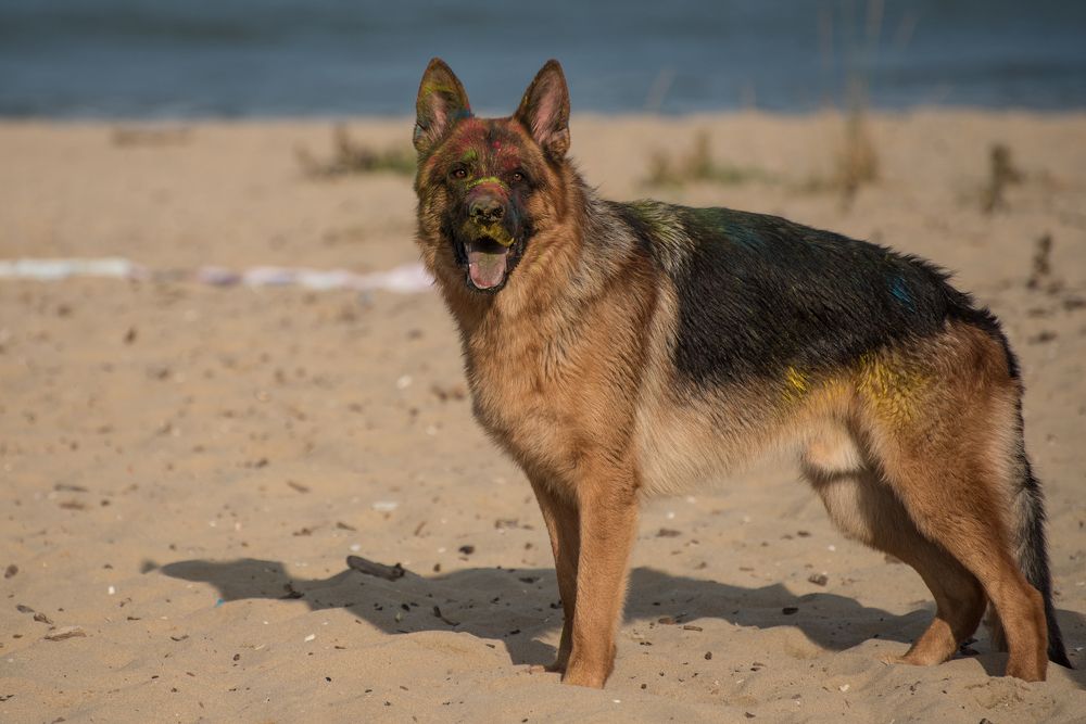 Photograph by Svetlana Milcheva