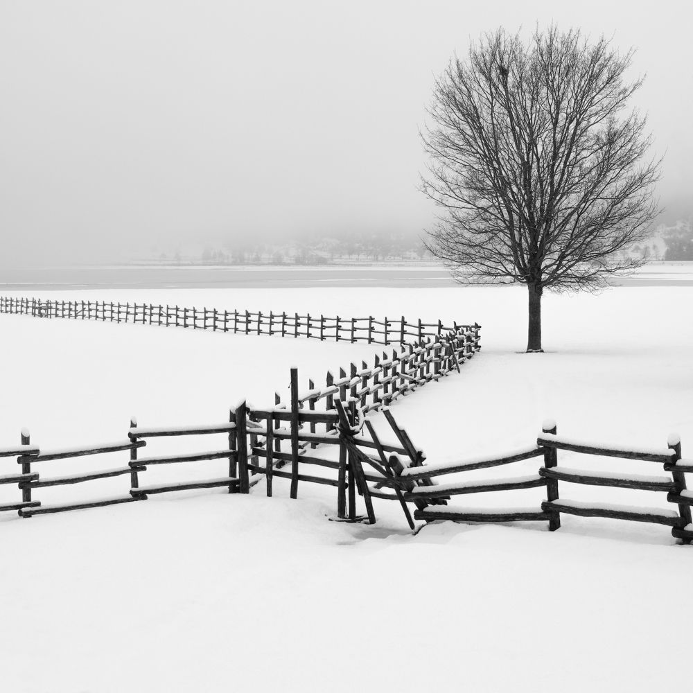 Photograph by Елизавета Калинина