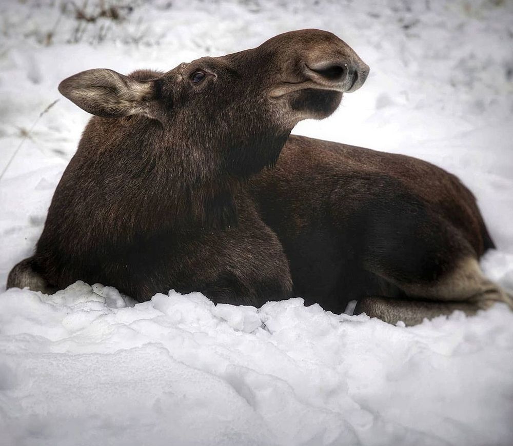 Photograph by Екатерина Кицмен