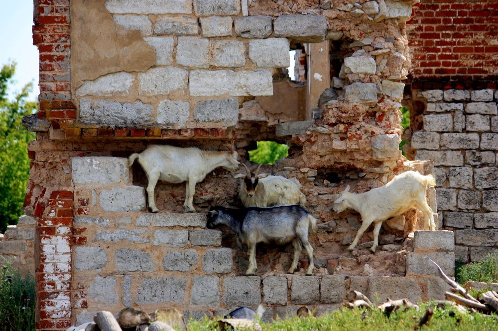 Photograph by Ольга Павлова