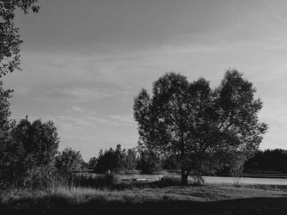 Photograph by Мила