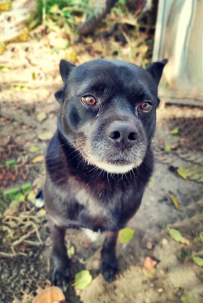 Photograph by Александра Рубан