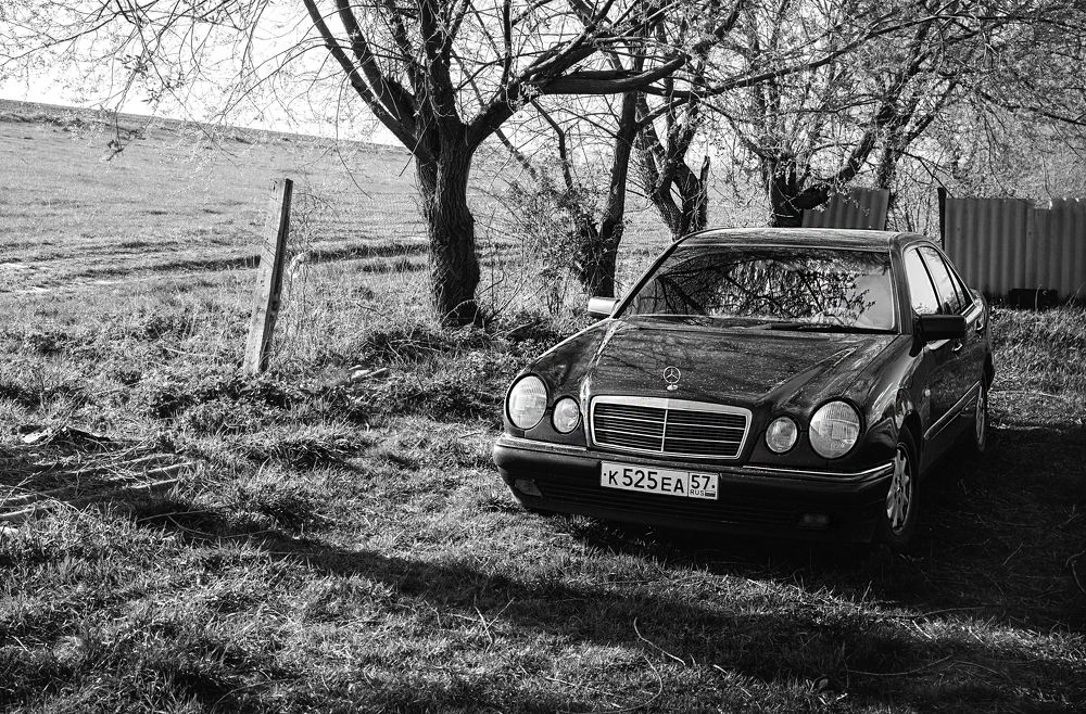 Photograph by Роман Логанов