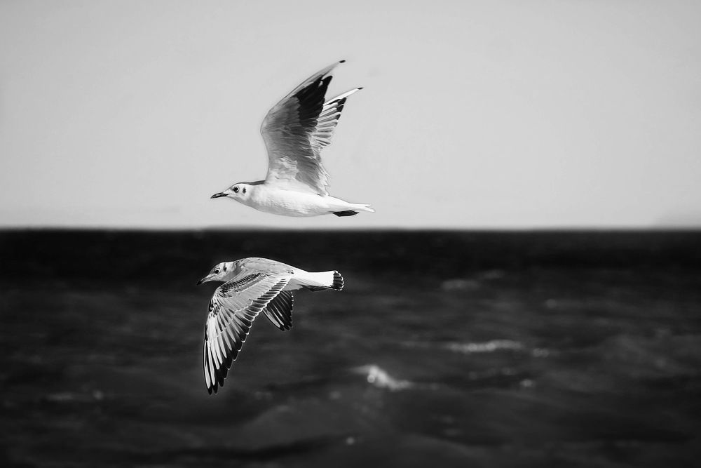 Фотография автора Helena