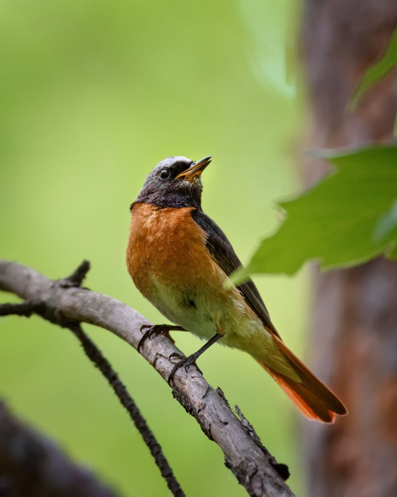 Фотография автора Владимир Зубков