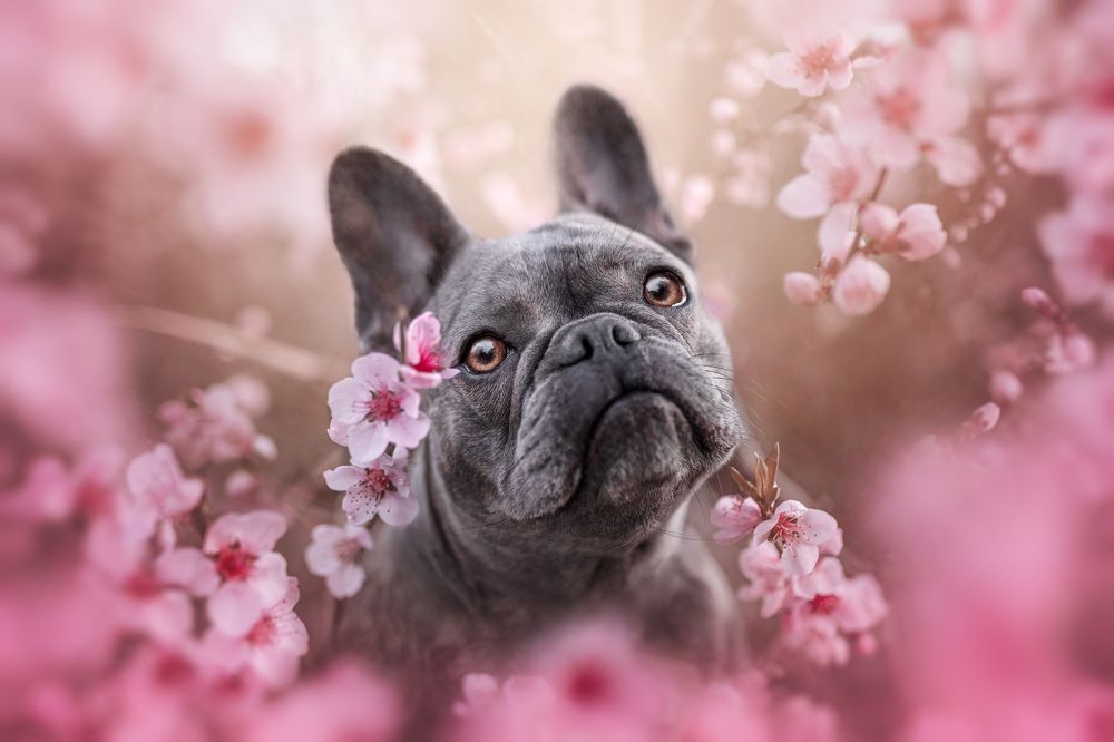 Photograph by Ve Shandor