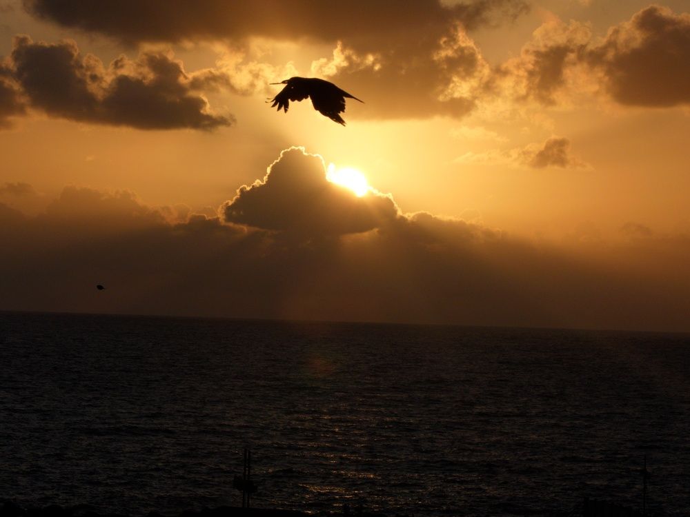 Photograph by Binyamin Waldayes