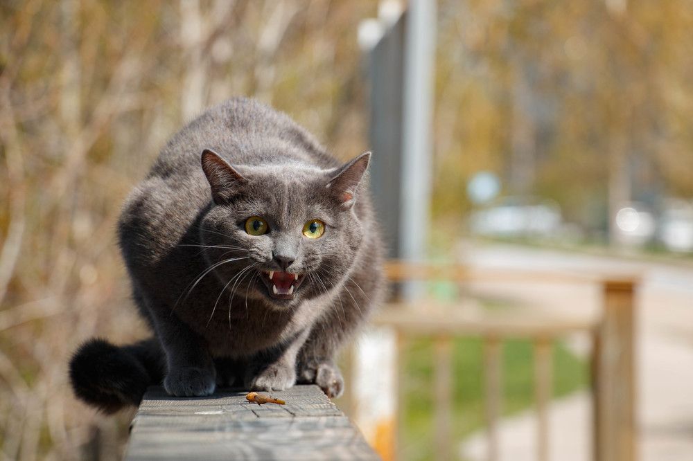 Photograph by Татьяна Ярмак